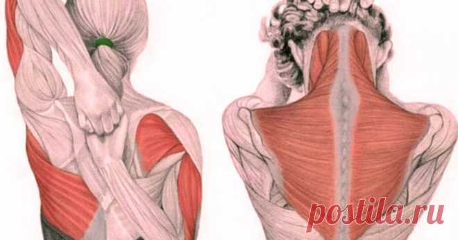 Упражнения для шеи: быстро освобождают от зажимов и нормализуют давление       Упражнения для шеи: Освобождают от зажимов и нормализуют давление           Следующие упражнения предназначены для расслабления напряж...