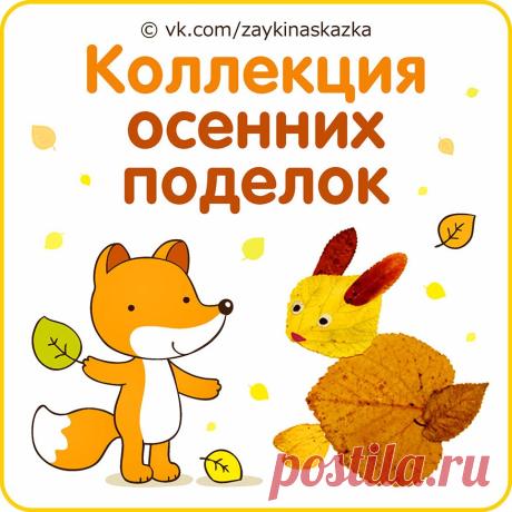 Фотографии Зайка Развивайка | 30 альбомов