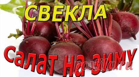 Салат на зиму из свеклы.Пошаговый (рецепт с фото)