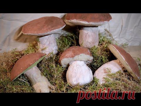 Делаем Белые Грибы Своими Руками!