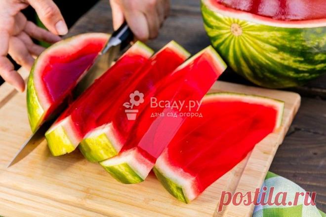 Желе в арбузе - рецепты приготовления, фото Как приготовить желе в арбузе из арбузной мякоти, какие ингредиенты можно добавить. Из чего сделать съедобные косточки для арбузного желе.