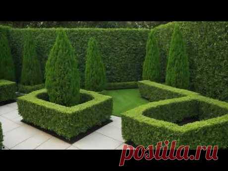 Ideas that will help you create a unique landscape. Красивий ландшафт