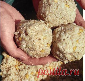 Прикормка | НА РЫБАЛКУ !!!!