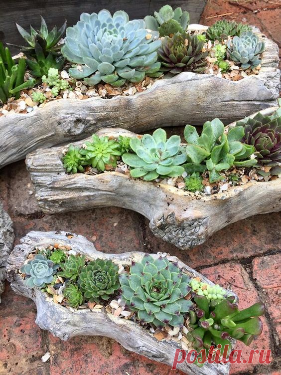 Удачные идеи из коряг — Сделай сам, идеи для творчества - DIY Ideas