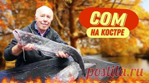 Сом - любимые народные рецепты в казане на костре | ДЕД МЯСОЕД | Дзен