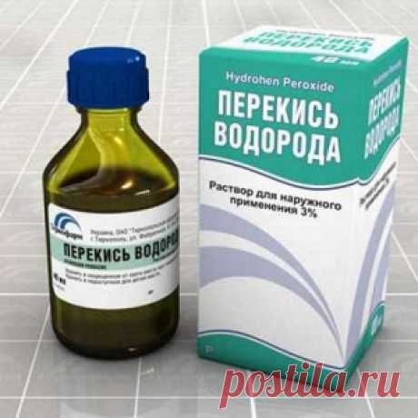 Патриарх Кирилл указал на приближение конца света - МирТесен