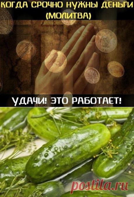 Одноклассники