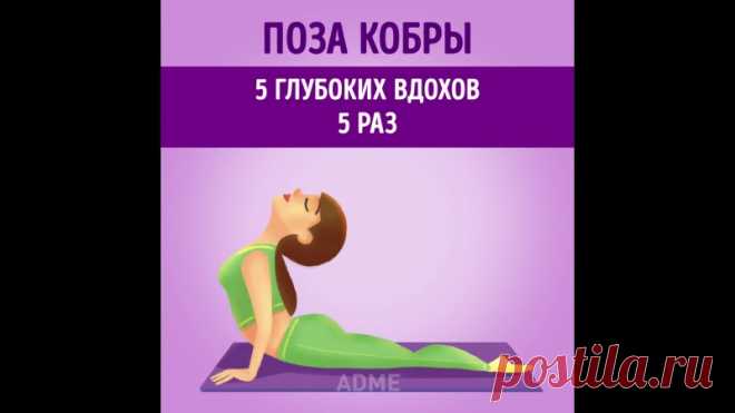 Простая йога для плоского живота