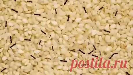 Чтобы продукты долго хранились