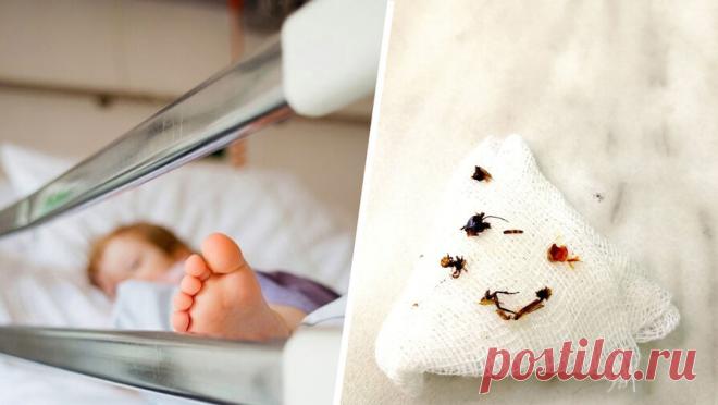 Челябинские врачи нашли таракана в ухе двухлетнего ребенка. В Детской клинической больнице Челябинска врачи обнаружили в ухе двухлетнего мальчика насекомое. Об этом сообщает пресс-служба медицинского учреждения. В больницу двухлетнего мальчика привезли родители, сын стал беспокойно себя вести, ...