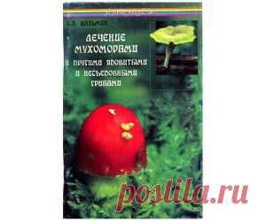 Книги о чудодейственном исцелении самыми невообразимыми средствами