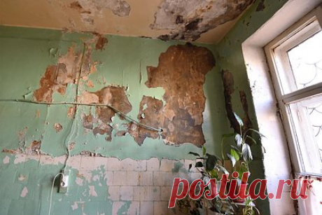 На российскую пенсионерку едва не рухнул потолок. 83-летняя кировчанка едва не оказалась под обломками упавшего потолка. В момент обрушения она оказалась в другой комнате и не пострадала. В ответ на двухнедельные жалобы пенсионерки УК лишь закрыла дыру фанерой. Капремонт крыши начался в 2023 году. Народный фронт обратился в прокуратуру. Дом проверят на аварийность.