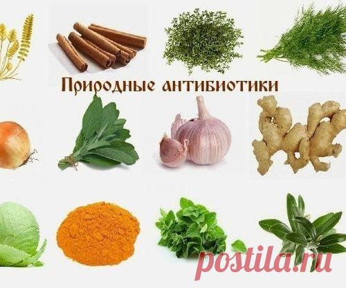 Природные антибиотики лечение без осложнений