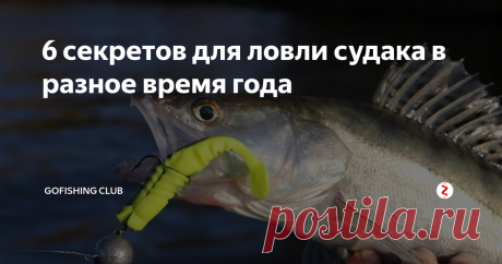 6 секретов для ловли судака в разное время года Судак – это один из популярных хищников, ловля которого весьма интересна для рыбаков. Эту рыбу можно ловить на протяжении всего года. Чтобы добыть желанный трофей, необходимо знать несколько секретов.
Судак – это хищник, который подстерегает свою добычу на дне. Это стайная рыба, которая предпочитает коряжники, неравномерное твердое дно. Рыба обитает в прозрачной воде рек, озер и глубоких карьеров.