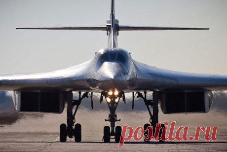 Russians Call It White Swan; Americans Call It Black Knave | English Russia