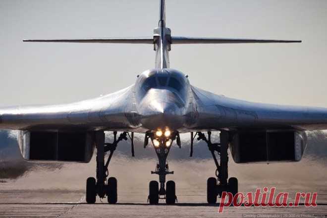 Russians Call It White Swan; Americans Call It Black Knave | English Russia