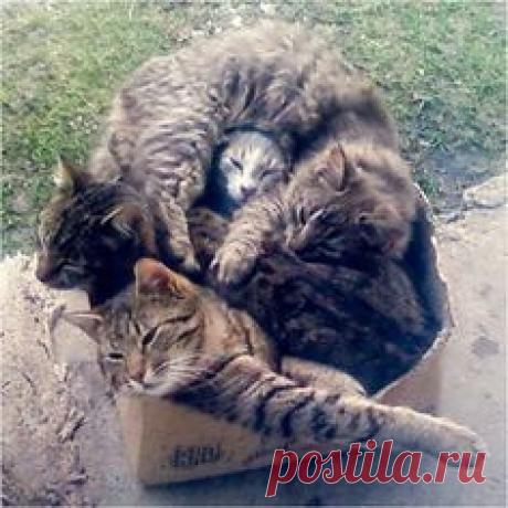 Pinterest: инструмент для поиска и хранения интересных идей