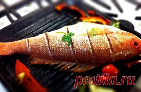 Серьезный улов: приинципы готовки идеальной рыбы