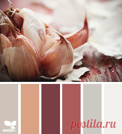 Design Seeds® | find your palette
