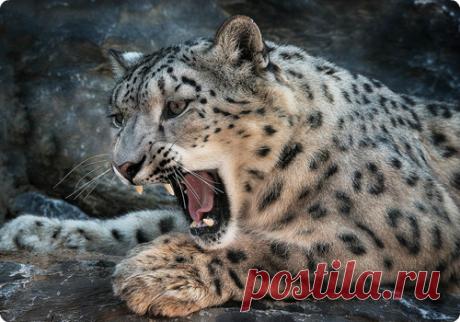 Мой Мир@Mail.Ru