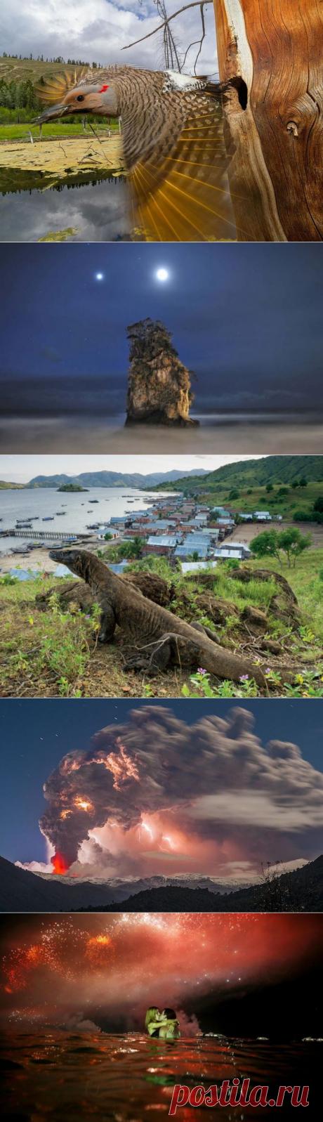 (+1) тема - Потрясающий кадр! | НАУКА И ЖИЗНЬ