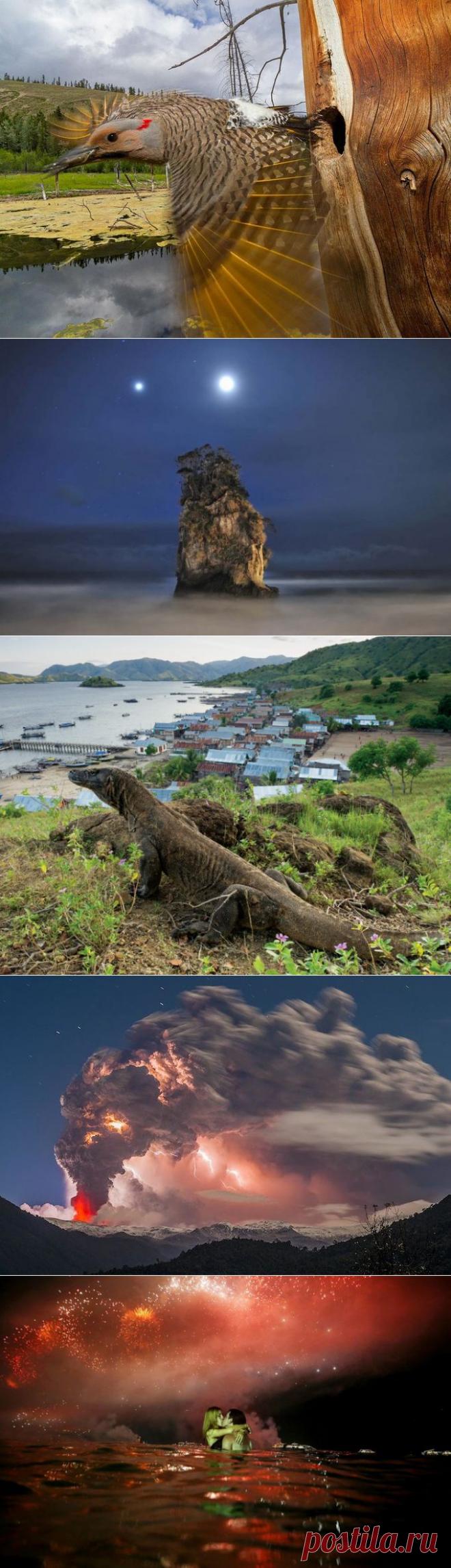 (+1) тема - Потрясающий кадр! | НАУКА И ЖИЗНЬ