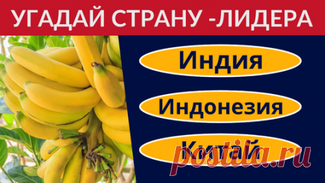 👍❤ Пожалуйста поддержите авторов канала Дом тестов подпиской, лайком, комментарием и репостом! Это очень важно, так как Яндекс.Дзен платит только за…