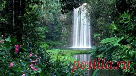 Обои на рабочий стол: Природа (часть 2).