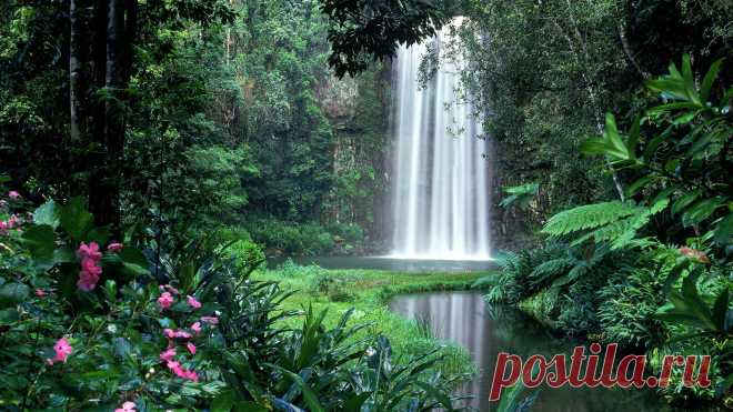 Обои на рабочий стол: Природа (часть 2).