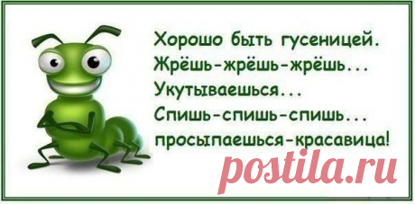 Мы становимся похожими на тех людей, с которыми общаемся. Выбирайте свое окружение — какими мы не были бы уникальными, оно все равно влияет на нас.

Роберт Де Ниро