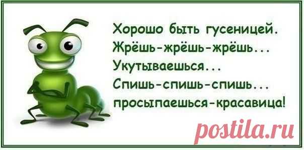 Мы становимся похожими на тех людей, с которыми общаемся. Выбирайте свое окружение — какими мы не были бы уникальными, оно все равно влияет на нас.

Роберт Де Ниро