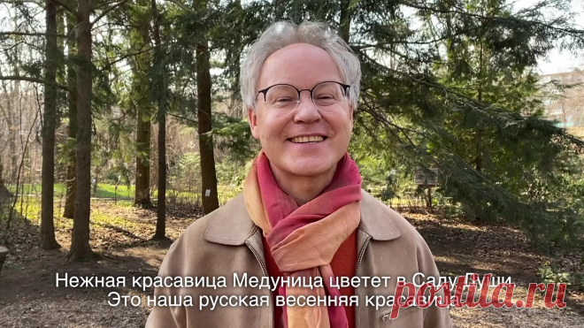 Весна в Саду Души - Медуница!