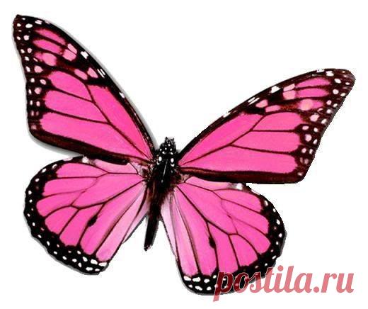 Картинки для творчества | 1 772 фотографии | ВКонтакте