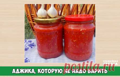 Аджика, которую не надо варить! Экономим время!

помидоры — 4 кг
перец болгарский — 1,5 кг
перец чили — 3 шт.
чеснок — 200 г
уксус (9%-ный) — 200 мл
соль — 2 ст.л.

Как приготовить холодную аджику из перца:

1. Помидоры сначала вымоем, а затем обсушим.
2. Перец болгарский точно так же как и помидоры, вымоем и обсушим.
3. Теперь обрежем болгарским перцам плодоножки. А вот семечки можно не удалять. И это большой плюс, ведь они придают очень своеобразный вкус аджике!
4. Подго...