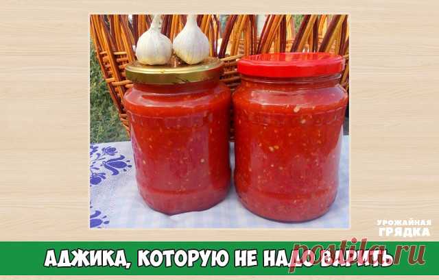 Аджика, которую не надо варить! Экономим время!

помидоры — 4 кг
перец болгарский — 1,5 кг
перец чили — 3 шт.
чеснок — 200 г
уксус (9%-ный) — 200 мл
соль — 2 ст.л.

Как приготовить холодную аджику из перца:

1. Помидоры сначала вымоем, а затем обсушим.
2. Перец болгарский точно так же как и помидоры, вымоем и обсушим.
3. Теперь обрежем болгарским перцам плодоножки. А вот семечки можно не удалять. И это большой плюс, ведь они придают очень своеобразный вкус аджике!
4. Подго...