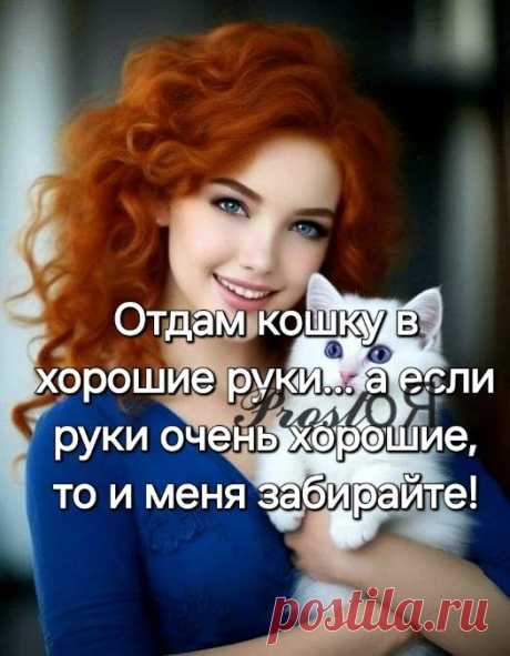 Изображение пина-истории