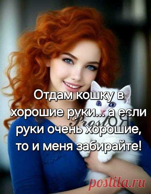 Изображение пина-истории