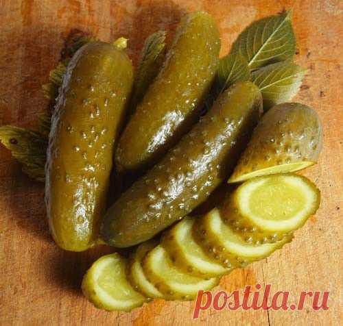 Квашеные огурцы - рецепт консервирования / Простые рецепты