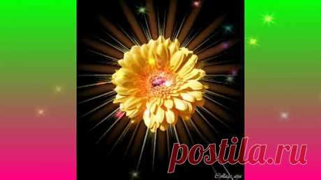 Полюбуйтесь,друзья!