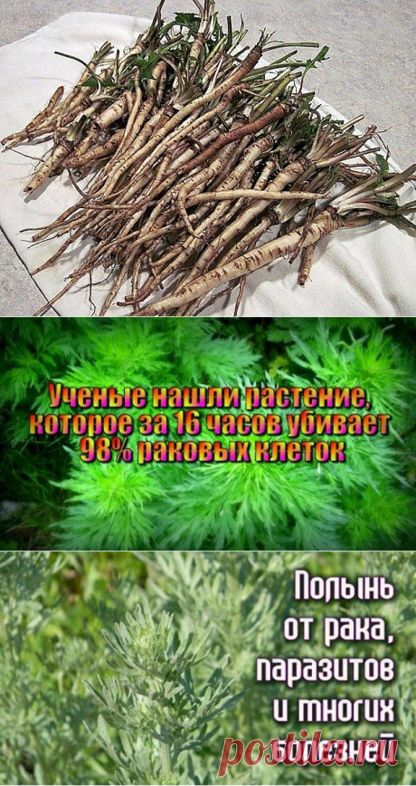 (86) Одноклассники
