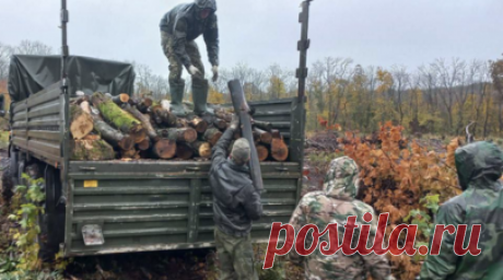 «Бобры» спешат на помощь: в Белгородской области волонтёры помогают заготавливать брёвна для российских военнослужащих. В Белгородской области волонтёры помогают российским военнослужащим, участвующим в СВО, заготавливать брёвна для строительства блиндажей и дрова для буржуек. Сами себя участники этого движения называют «бобрами». Как выяснил корреспондент RT, его уже можно называть народным и общероссийским. Читать далее