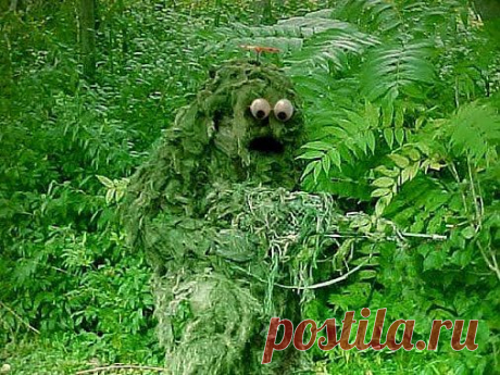 Самое интересное в мире: Лучший маскировочный костюм. Даже если вас... - natali5357@mail.ru - Почта Mail.Ru