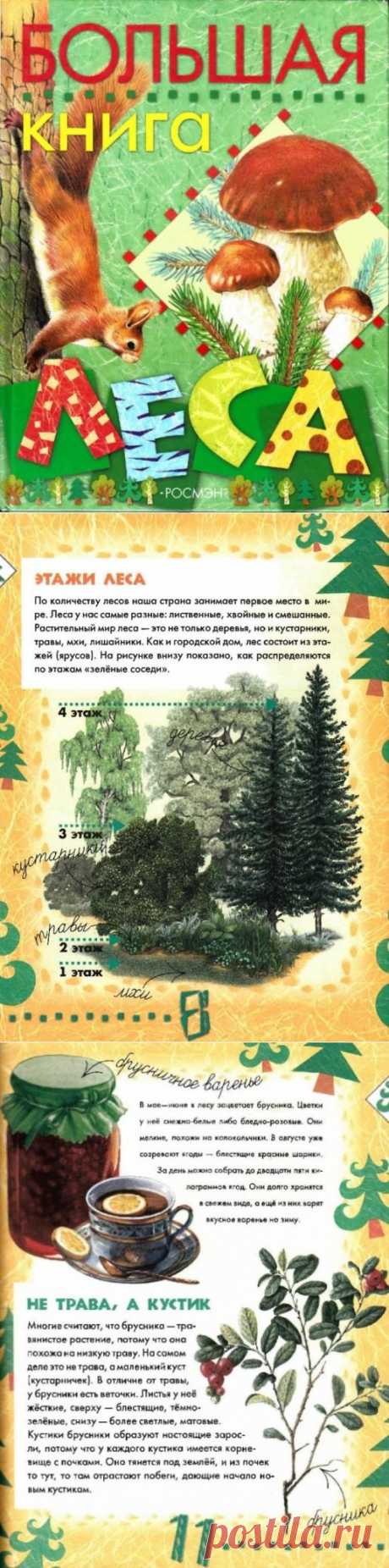 &quot;Тайга.&quot;- Большая книга леса.- 1
