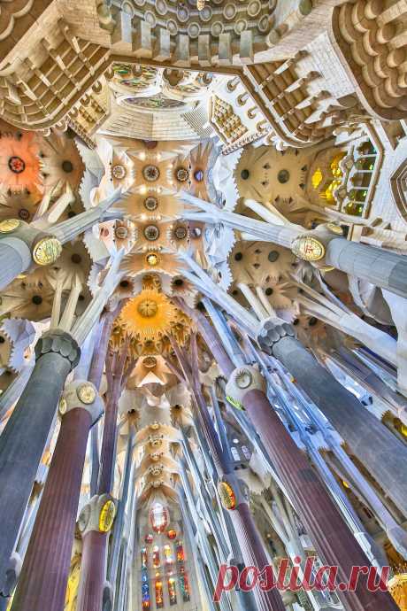 17 of the Most Beautiful Church Ceilings From Around the World | Architectural Digest From Italy to Iran, AD surveys those church ceilings that not only inspire religious devotion but form stunning aethestics
