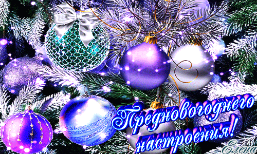 Живые фотографии – Google+