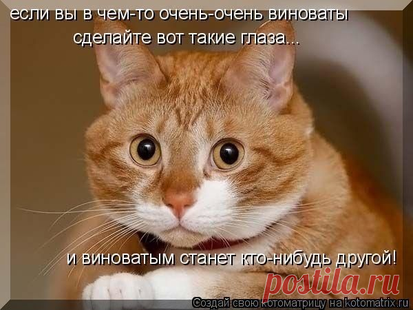 Мой Мир@Mail.Ru