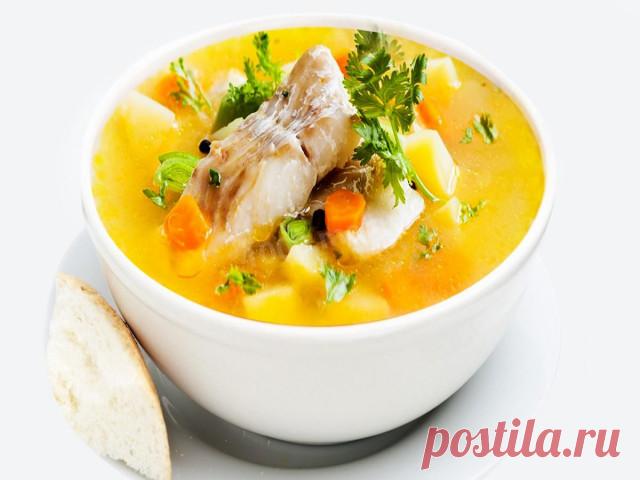 Уха из щуки по русски рецепт с фото - 1000.menu