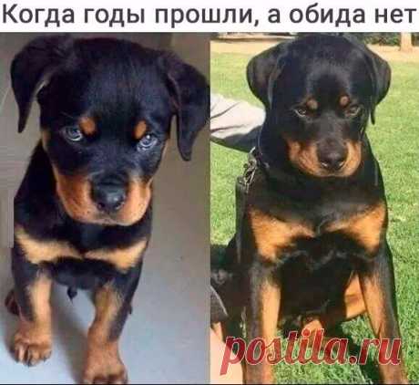 Кто любит ставит ❤😊