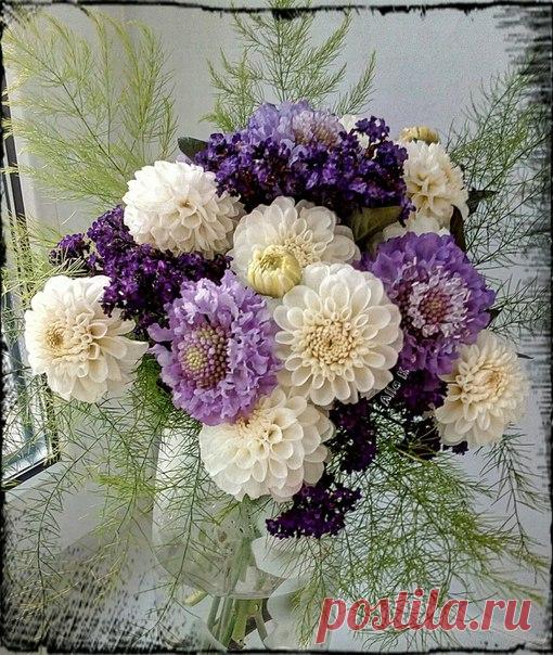 Букетик.....Георгины, скабиоза и гелиотроп))