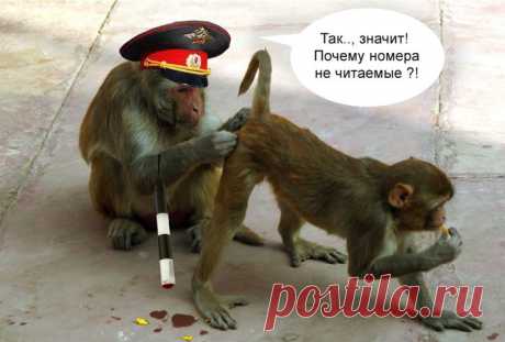 Всё как и всегда - с этими приколами вы отдохнете от всех проблем! 
Отличный юмор с просторов интернета. Рекомендую к просмотру!
 

 

 

 

 

 

 

 

 
 
 
 
 

 

 

 

 

 
